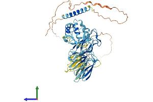 AlphaFold protein structure predicition of Human Recombinant MFRP Protein, UniprotID Q9BY79