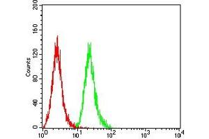 Flow cytometric analysis of THP-1 cells using TNFRSF25 mouse mAb (green) and negative control (red).