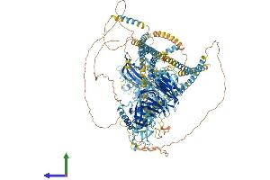 AlphaFold protein structure predicition of Human Recombinant CDC42BPG Protein, UniprotID Q6DT37
