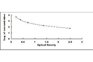 Typical standard curve (AMH Kit ELISA)