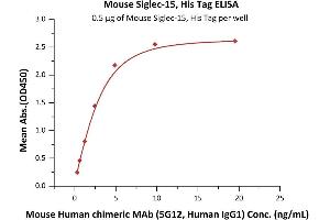 Immobilized Mouse Siglec-15, His Tag (ABIN6731346,ABIN6809872) at 5 μg/mL (100 μL/well) can bind Mouse Human chimeric MAb (5G12, Human IgG1) with a linear range of 0. (SIGLEC15 Protein (AA 24-262) (His tag))