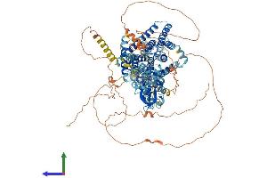AlphaFold protein structure predicition of Human Recombinant CLCN1 Protein, UniprotID P35523