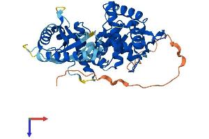 AlphaFold protein structure predicition of Human Recombinant OAS1 Protein, UniprotID P00973