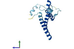 AlphaFold protein structure predicition of Human Recombinant OSTC Protein, UniprotID Q9NRP0