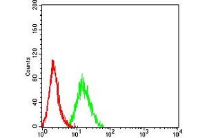 Flow cytometric analysis of Hela cells using CD16B mouse mAb (green) and negative control (red).