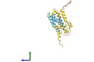 AlphaFold protein structure predicition of Human Recombinant CMTM5 Protein, UniprotID Q96DZ9