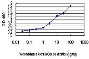 Detection limit for recombinant GST tagged FAAH is approximately 0.