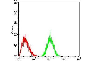 Flow cytometric analysis of HL-60 cells using LRP4 mouse mAb (green) and negative control (red).