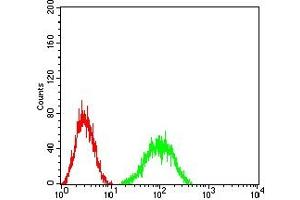 Flow cytometric analysis of HL-60 cells using CD352 mouse mAb (green) and negative control (red).