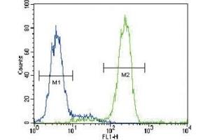 PPARG antibody flow cytometric analysis of HepG2 cells (green) compared to a negative control (blue).