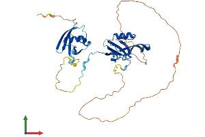AlphaFold protein structure predicition of Human Recombinant PARD6B Protein, UniprotID Q9BYG5