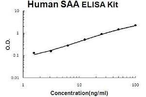 Human SAA/SAA1 PicoKine ELISA Kit standard curve (SAA1 Kit ELISA)
