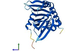 AlphaFold protein structure predicition of Mouse Recombinant Pctp Protein, UniprotID P53808