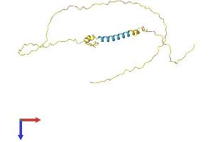 AlphaFold protein structure predicition of Human Recombinant TCEAL5 Protein, UniprotID Q5H9L2