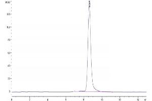 The purity of Mouse CD163 is greater than 95 % as determined by SEC-HPLC.