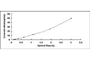Typical standard curve (MMP13 Kit ELISA)