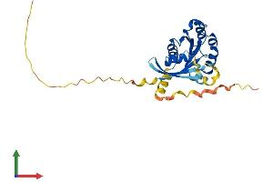 AlphaFold protein structure predicition of Mouse Recombinant Rab12 Protein, UniprotID P35283