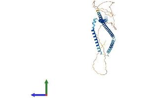 AlphaFold protein structure predicition of Human Recombinant WTAP Protein, UniprotID Q15007