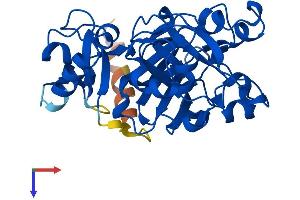 AlphaFold protein structure predicition of Human Recombinant FAHD2B Protein, UniprotID Q6P2I3