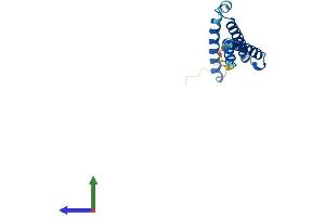 AlphaFold protein structure predicition of Mouse Recombinant C1d Protein, UniprotID O35473