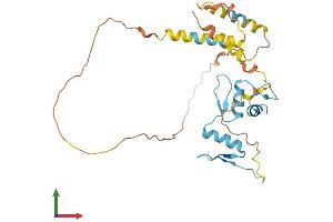 AlphaFold protein structure predicition of Human Recombinant KLF6 Protein, UniprotID Q99612