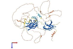 AlphaFold protein structure predicition of Mouse Recombinant Nfatc1 Protein, UniprotID O88942