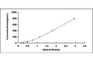 Typical standard curve (DPP4 Kit ELISA)