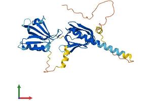 AlphaFold protein structure predicition of Mouse Recombinant Dok5 Protein, UniprotID Q91ZM9