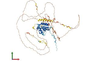 AlphaFold protein structure predicition of Human Recombinant TRAF3IP2 Protein, UniprotID O43734