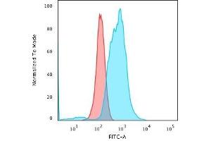 Flow Cytometric Analysis of PFA-fixed K562 cells using Calponin-1 Recombinant Mouse Monoclonal Antibody (rCNN1/832) followed by Goat anti-Mouse IgG-CF488 (Blue); Isotype Control (Red).