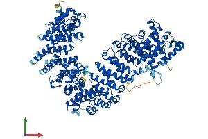 AlphaFold protein structure predicition of Mouse Recombinant Ipo11 Protein, UniprotID Q8K2V6
