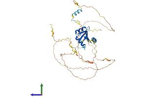 AlphaFold protein structure predicition of Human Recombinant TFG Protein, UniprotID Q92734