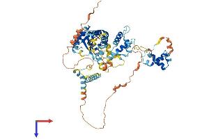 AlphaFold protein structure predicition of Human Recombinant POGK Protein, UniprotID Q9P215