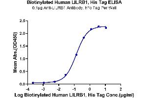 Immobilized Anti-LILRB1 Antibody, hFc Tag at 1 μg/mL (100 μL/well) on the plate.