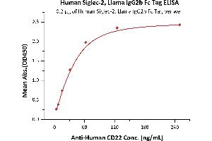 Immobilized Human Siglec-2, Llama IgG2b Fc Tag, low endotoxin (ABIN5954980,ABIN6253560) at 2 μg/mL (100 μL/well) can bind A CD22 with a linear range of 4-63 ng/mL (QC tested).