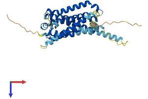 AlphaFold protein structure predicition of Mouse Recombinant Gpr21 Protein, UniprotID Q8BX79