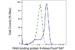 Validation of RAN binding protein 9 knockdown using flow cytometry. (Recombinant Importin 9 anticorps)