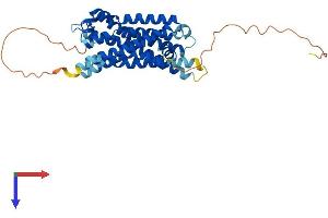 AlphaFold protein structure predicition of Human Recombinant SSTR5 Protein, UniprotID P35346