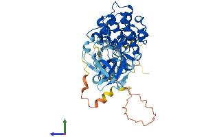 AlphaFold protein structure predicition of Human Recombinant AKT2 Protein, UniprotID P31751