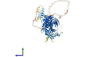 AlphaFold protein structure predicition of Human Recombinant GUCY1A2 Protein, UniprotID P33402
