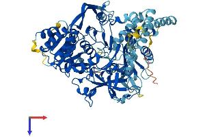 AlphaFold protein structure predicition of Human Recombinant ACSL3 Protein, UniprotID O95573