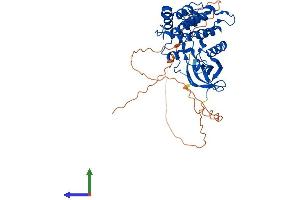AlphaFold protein structure predicition of Human Recombinant CSNK1G3 Protein, UniprotID Q9Y6M4