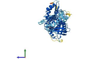 AlphaFold protein structure predicition of Human Recombinant NOX3 Protein, UniprotID Q9HBY0