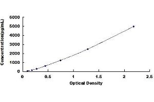 Regenerating Islet-Derived 1 alpha (REG1A) ELISA Kit