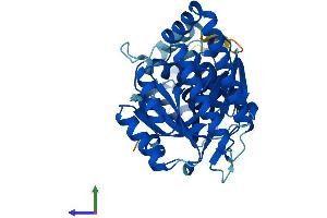AlphaFold protein structure predicition of Human Recombinant MVK Protein, UniprotID Q03426