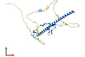 AlphaFold protein structure predicition of Mouse Recombinant Tef Protein, UniprotID Q9JLC6