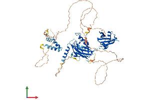AlphaFold protein structure predicition of Mouse Recombinant Grhl2 Protein, UniprotID Q8K5C0