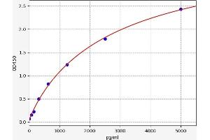 Typical standard curve (FGF5 Kit ELISA)