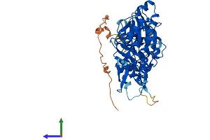 AlphaFold protein structure predicition of Mouse Recombinant Actl7a Protein, UniprotID Q9QY84
