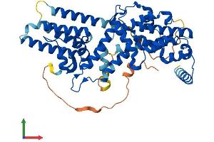 AlphaFold protein structure predicition of Human Recombinant RASGEF1A Protein, UniprotID Q8N9B8